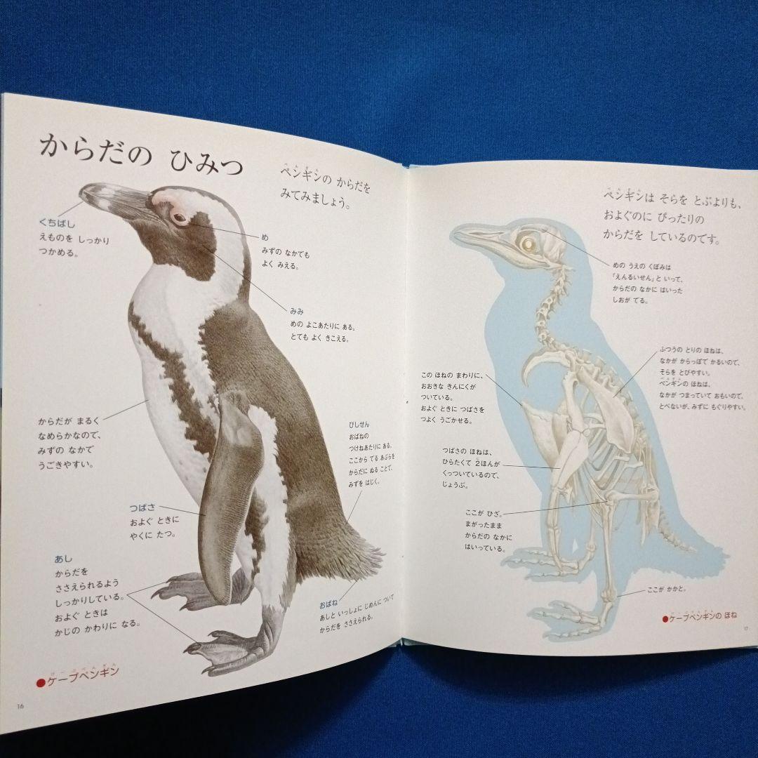 ビッグサイエンス　キンダーブックしぜん　こどものくに　ペンギンさんの絵本　大集合