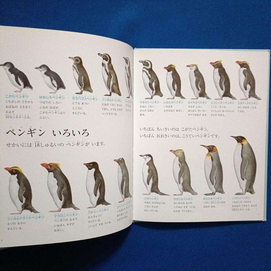 ビッグサイエンス　キンダーブックしぜん　こどものくに　ペンギンさんの絵本　大集合