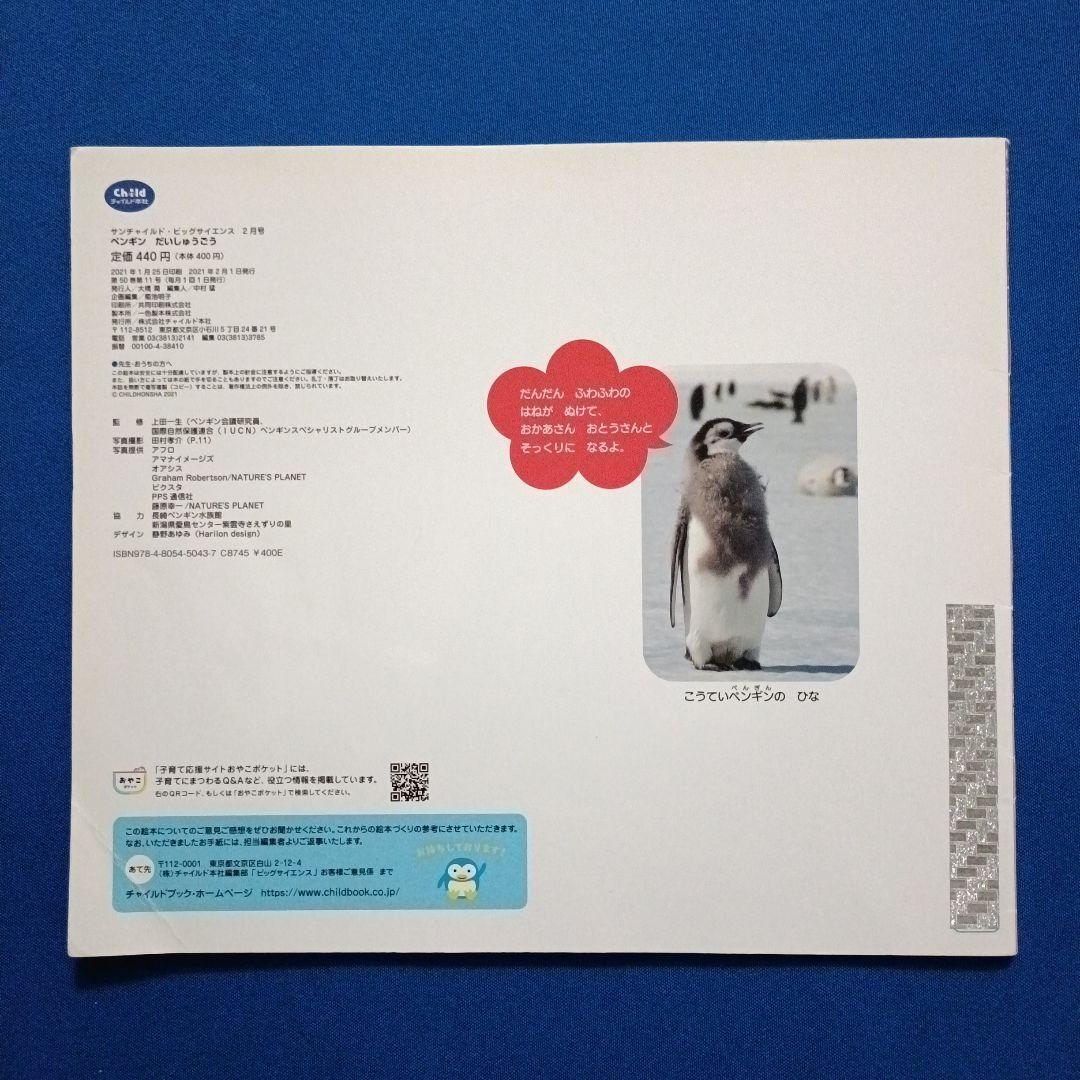 ビッグサイエンス　キンダーブックしぜん　こどものくに　ペンギンさんの絵本　大集合