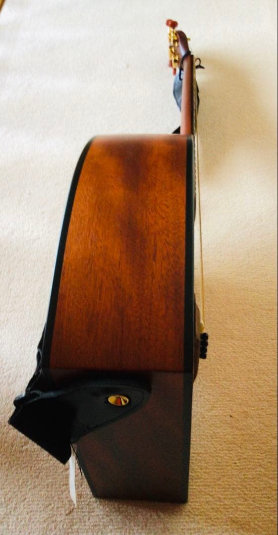 ヤイリ　一五一会ベーシック最上位モデル