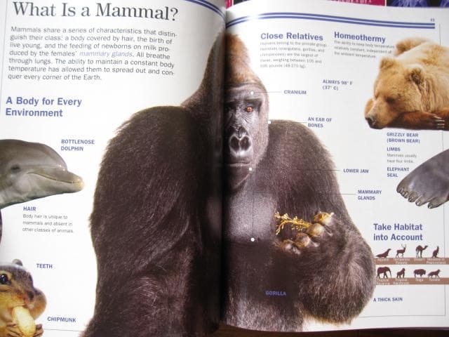 洋書 6-Book Interactive Science Library