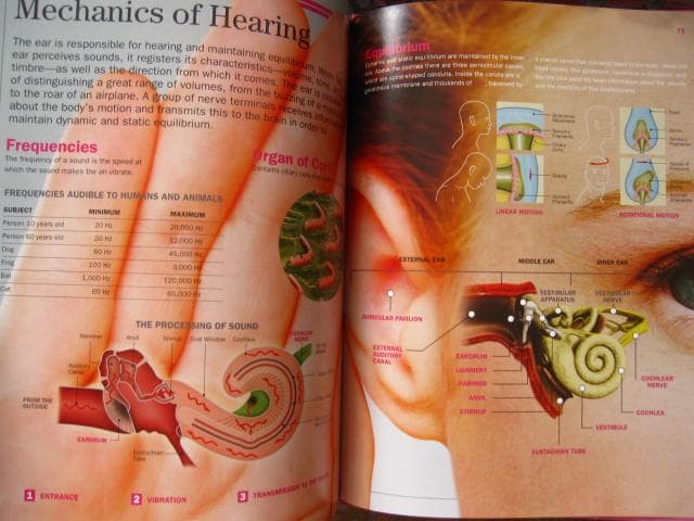 洋書 6-Book Interactive Science Library