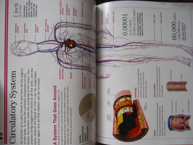洋書 6-Book Interactive Science Library