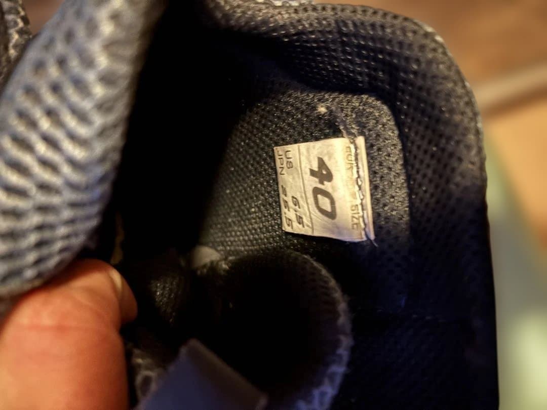 アルパインスターズ・レーシングブーツのインナーブーツのみです。25,5cm