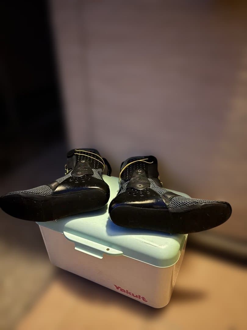 アルパインスターズ・レーシングブーツのインナーブーツのみです。25,5cm