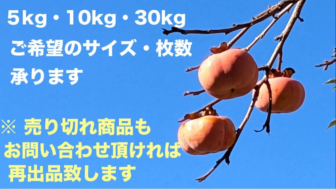 柿渋米袋：10kg x20袋 5度塗り