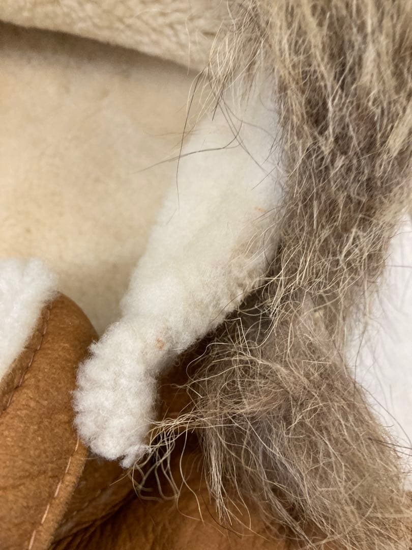 SAWYER OF NAPA ソーヤーオブナパ　ラム　ムートン　コート　コヨーテ