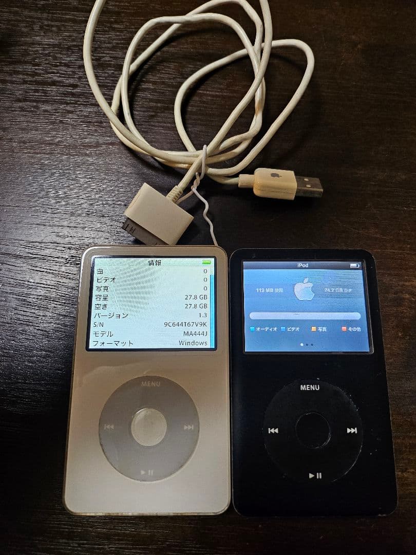 Apple iPod Classic 80GB 30GB まとめ売り