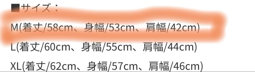 ノースフェイスダウンベスト　ヌプシベスト