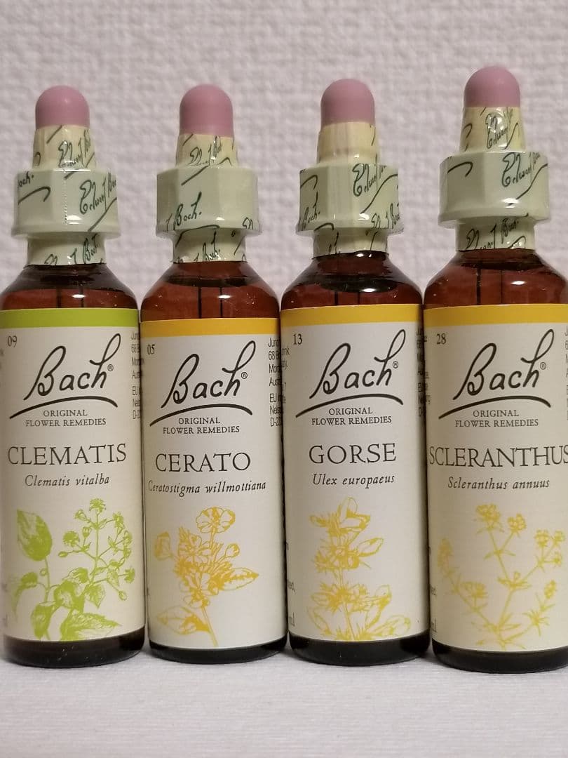 白ピクミンさま専用