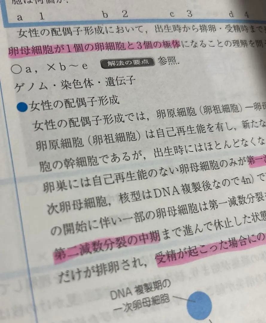 QB クエスチョン・バンク QB CBT 2019 vol.1 〜5 医学部