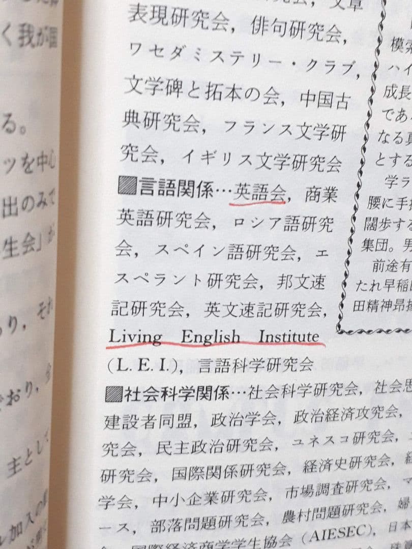 早稲田大学 政経学部 赤本 ’８８ 教学社 古本