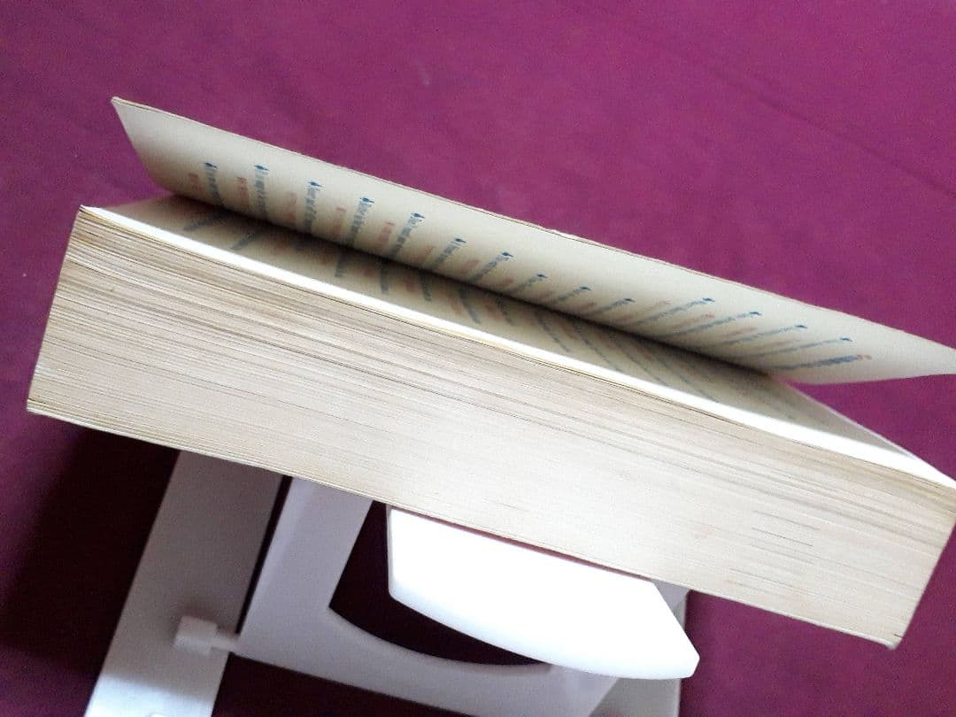 早稲田大学 政経学部 赤本 ’８８ 教学社 古本