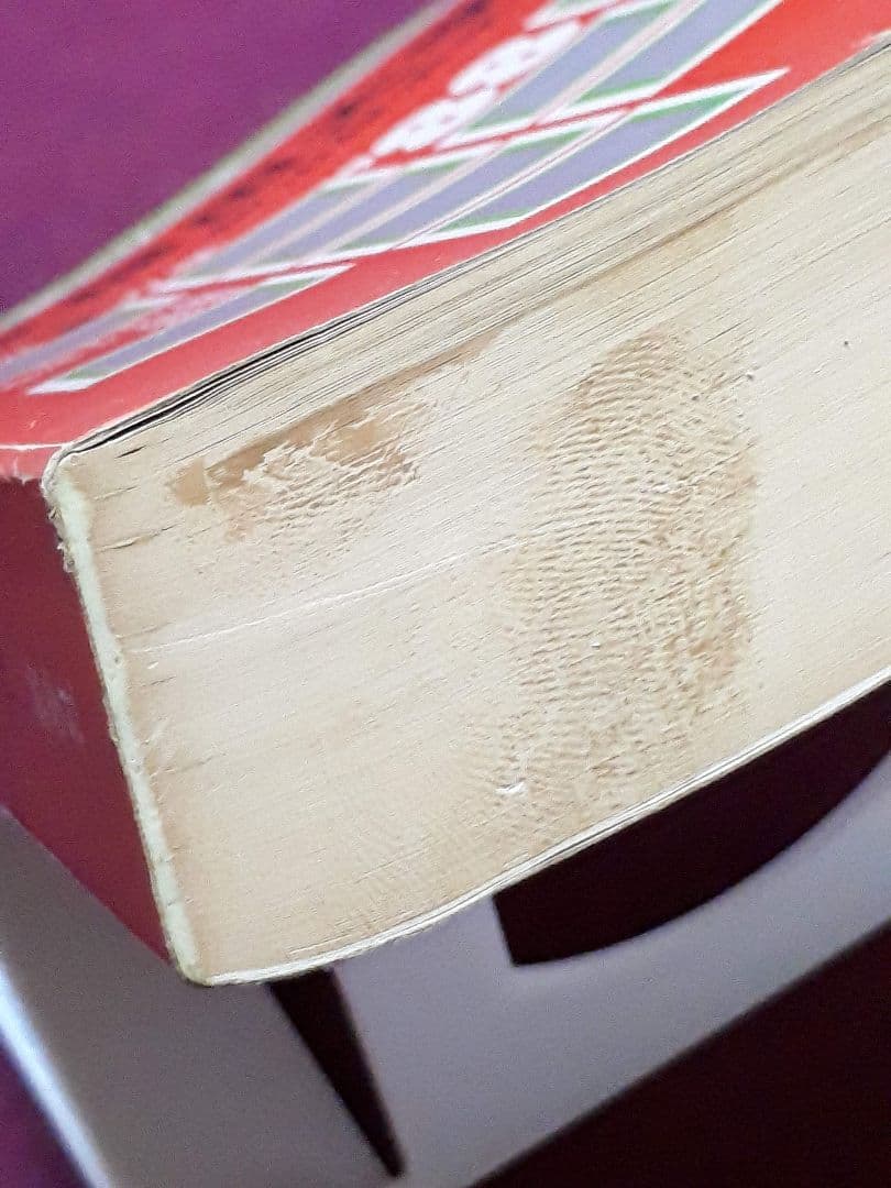 早稲田大学 政経学部 赤本 ’８８ 教学社 古本