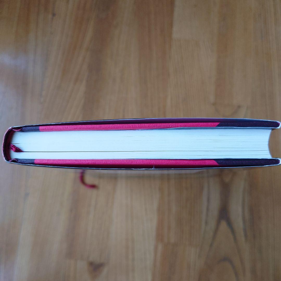 悪魔の法則 : ポジティブ思考のウソを斬る : ビジネス版