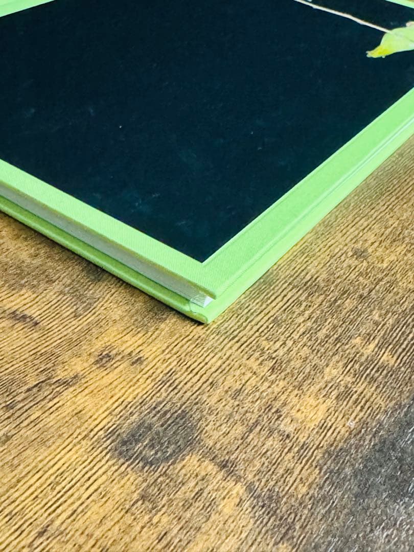 【希少本】Tokyo Parrots 水谷吉法 サイン入り