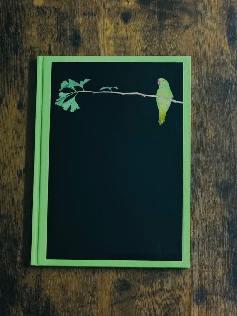 【希少本】Tokyo Parrots 水谷吉法 サイン入り