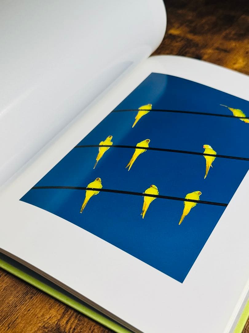 【希少本】Tokyo Parrots 水谷吉法 サイン入り