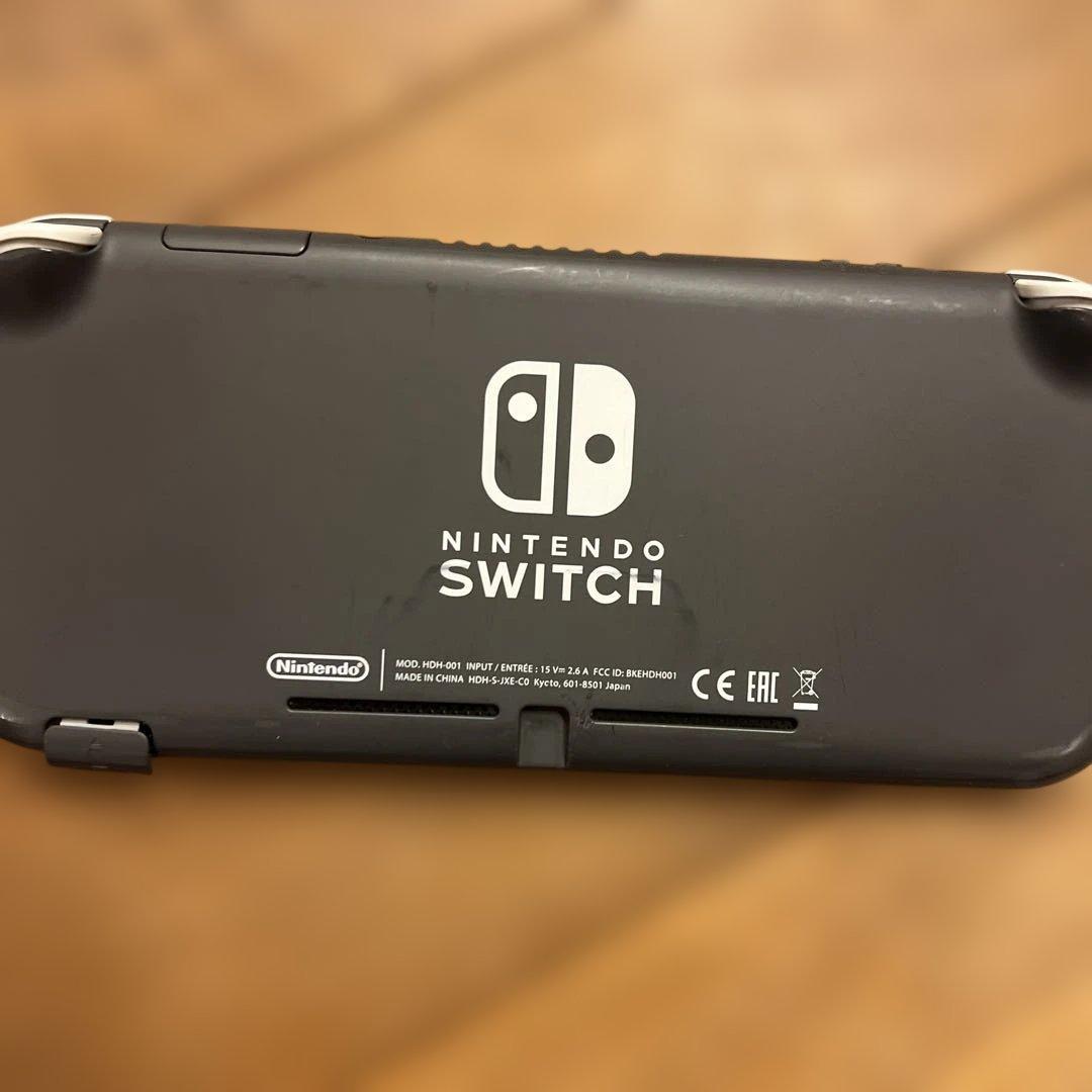 ニンテンドースイッチ Lite 本体充電器128GB microSD 付き箱無し