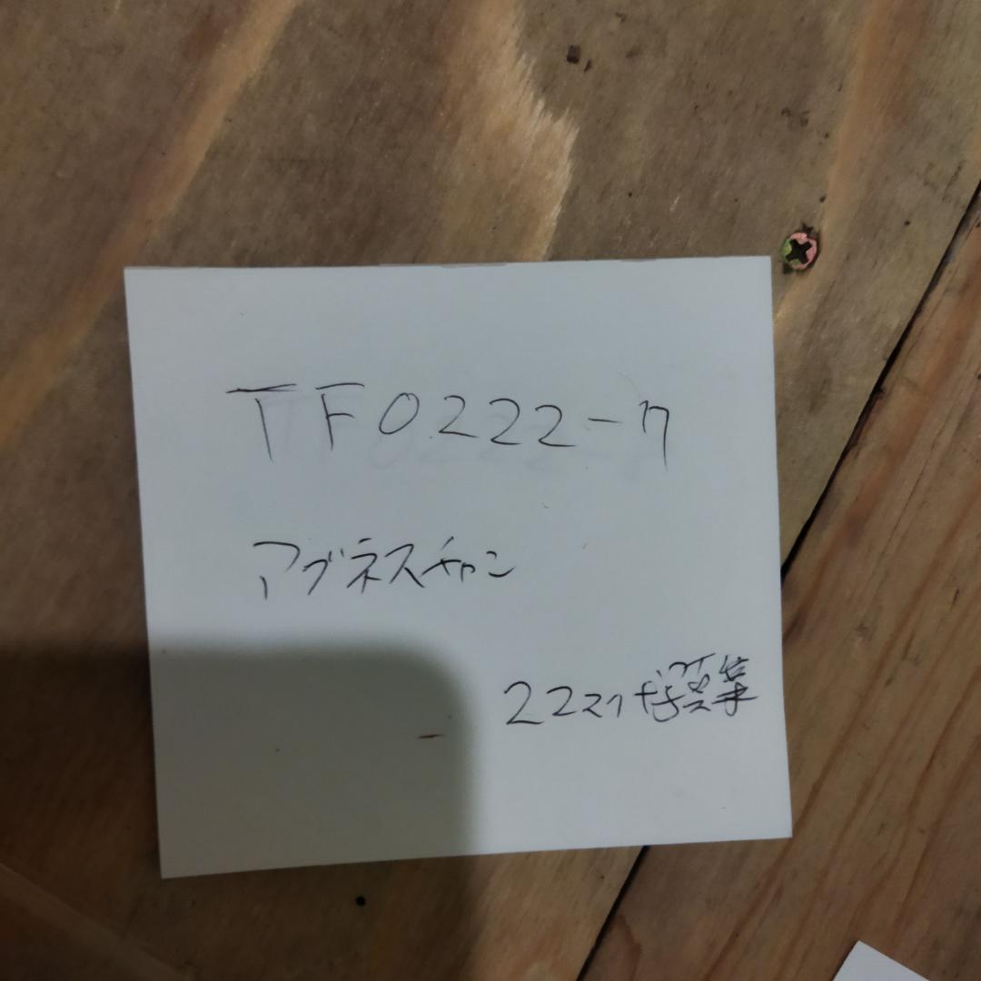 アグネス・チャン　写真集付き【22枚+写真集】TF0222-7 LPレコード