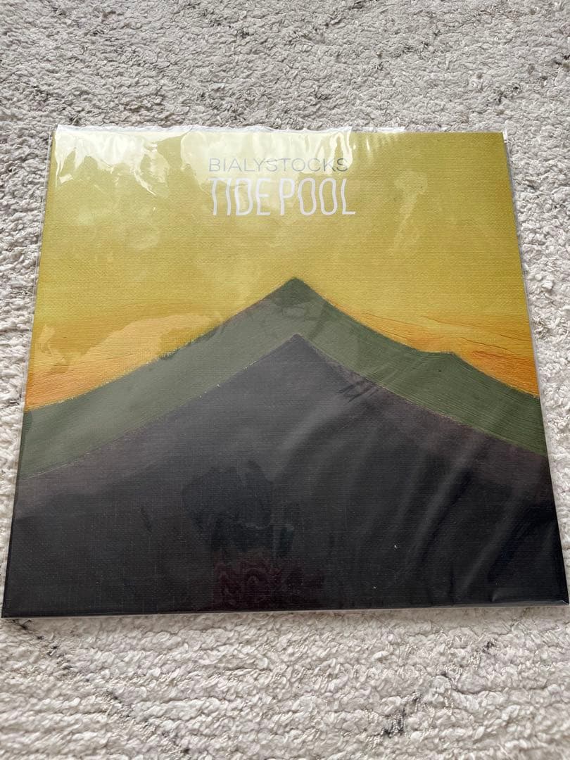 【新品未使用】Bialystocks TIDE POOL レコード