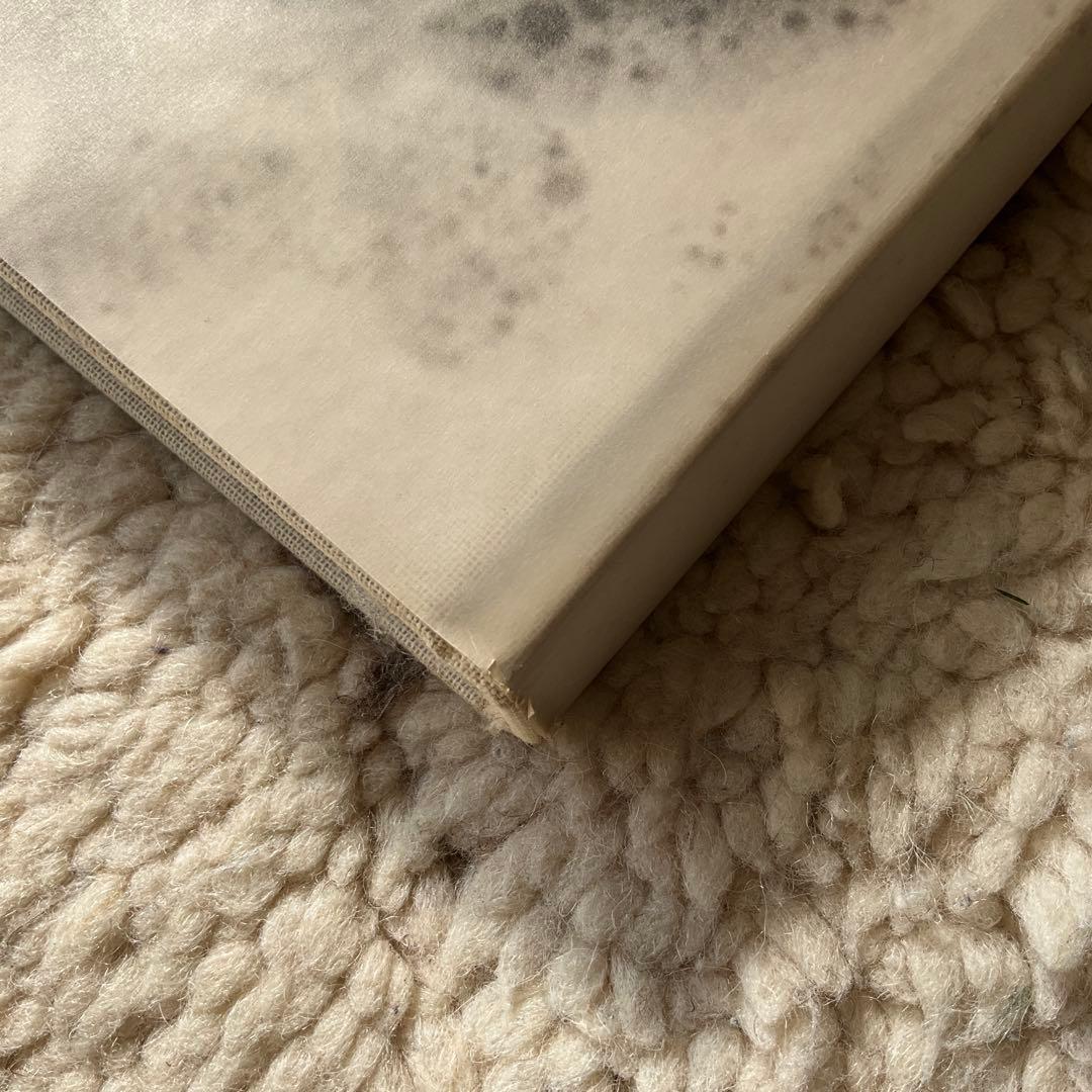 IWAO YAMAWAKI 山脇巌 バウハウス 写真集 作品集 Steidl