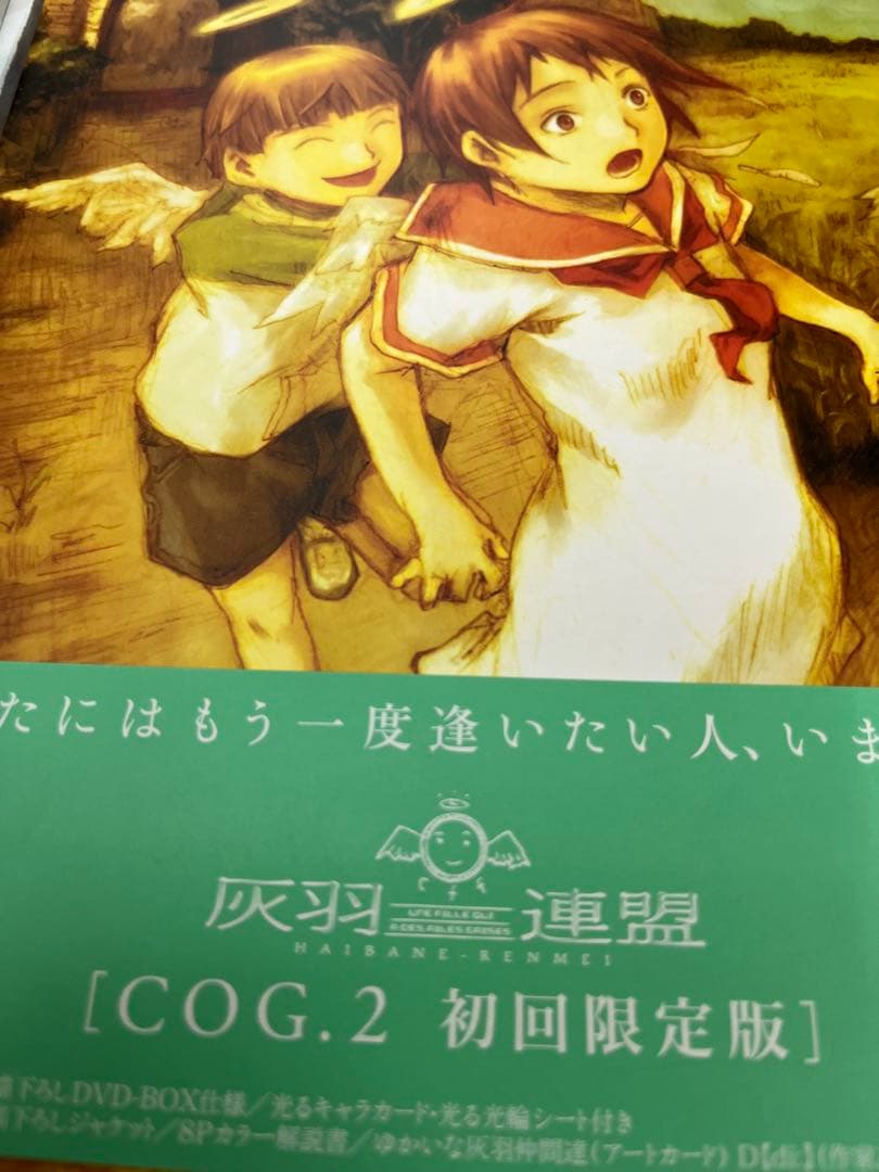 アニメDVD 灰羽連盟 収納BOX付き　初回限定版全5巻セット