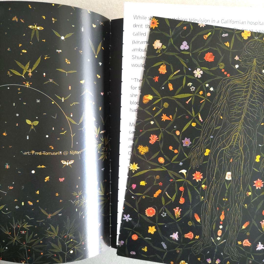 【希少】TANK MAGAZINE #2/アート・ファッション・写真・イラスト