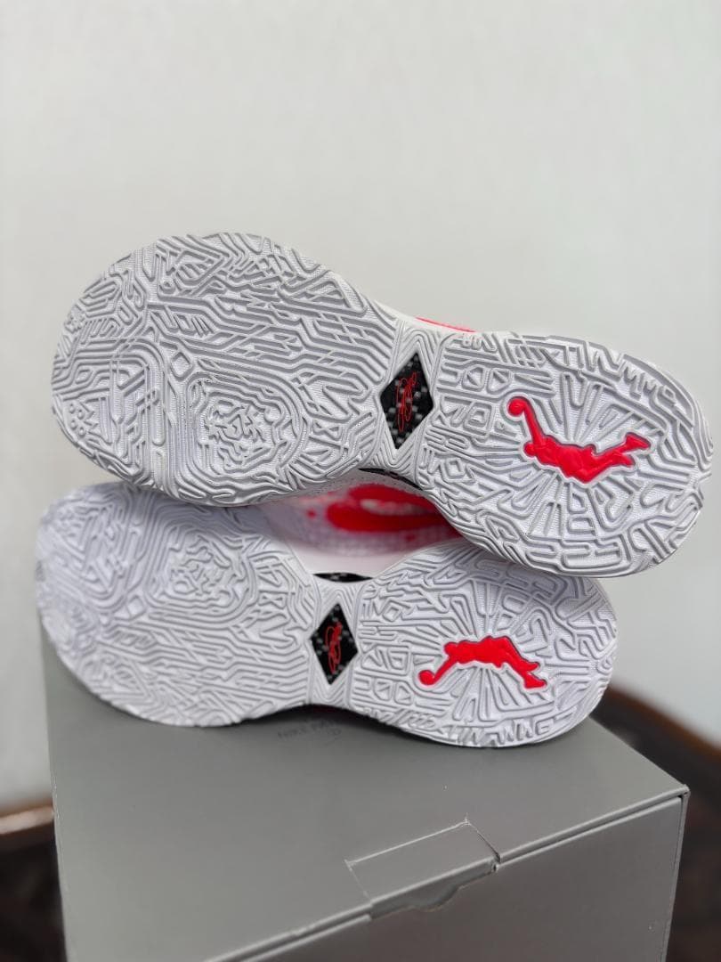 NIKE × ミミプランジ レブロン20 PRM 新品 FJ0724-801