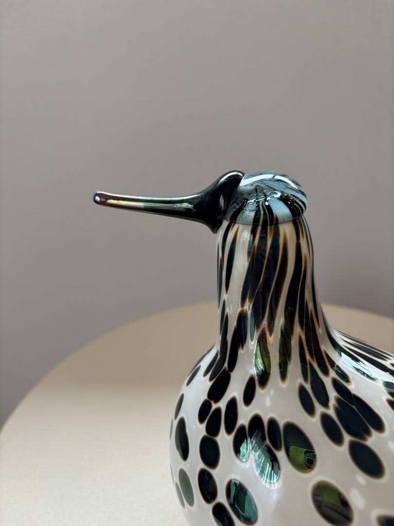 イッタラバード　Spotted Sandpiper SSKK 2006 傷あり