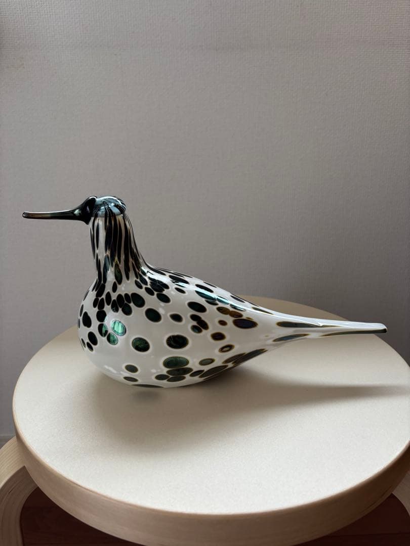 イッタラバード　Spotted Sandpiper SSKK 2006 傷あり