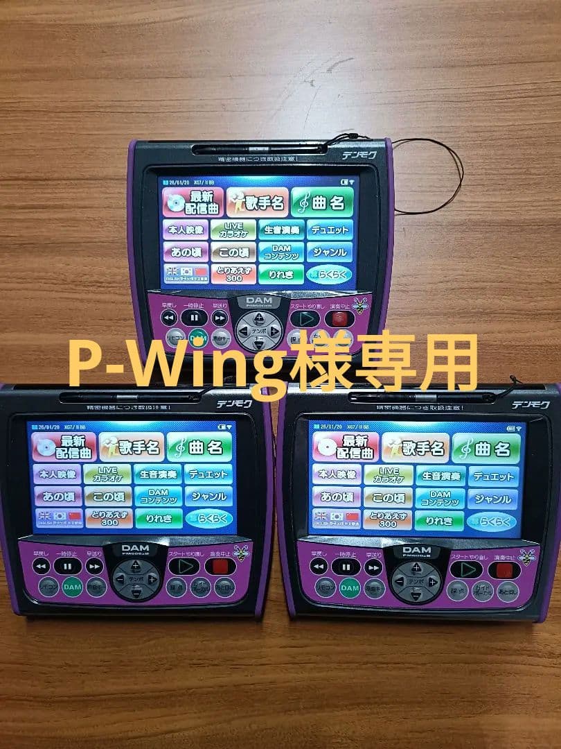 その他 P-Wing