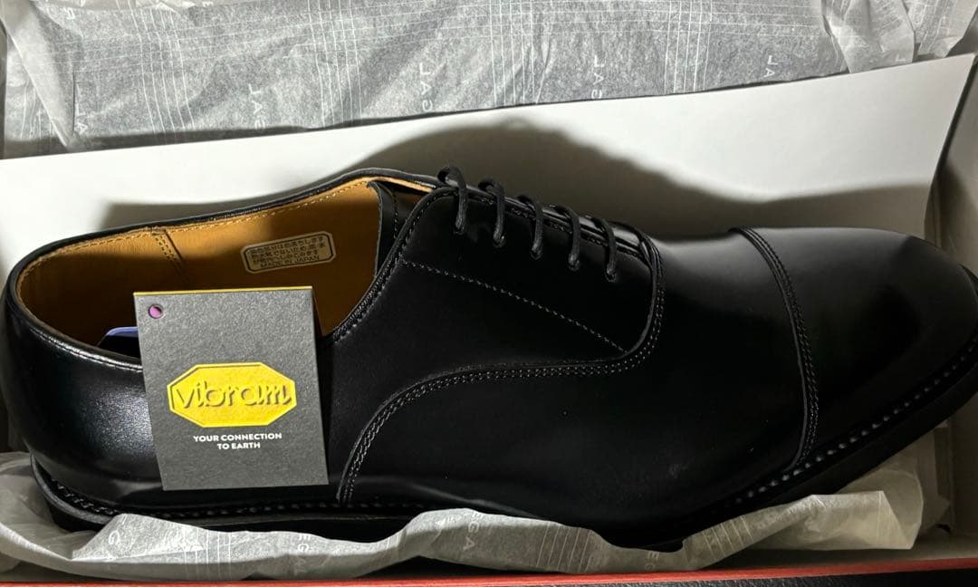 【新品未使用】REGAL 11DL ブラック25.0cm ストレートチップ完売品