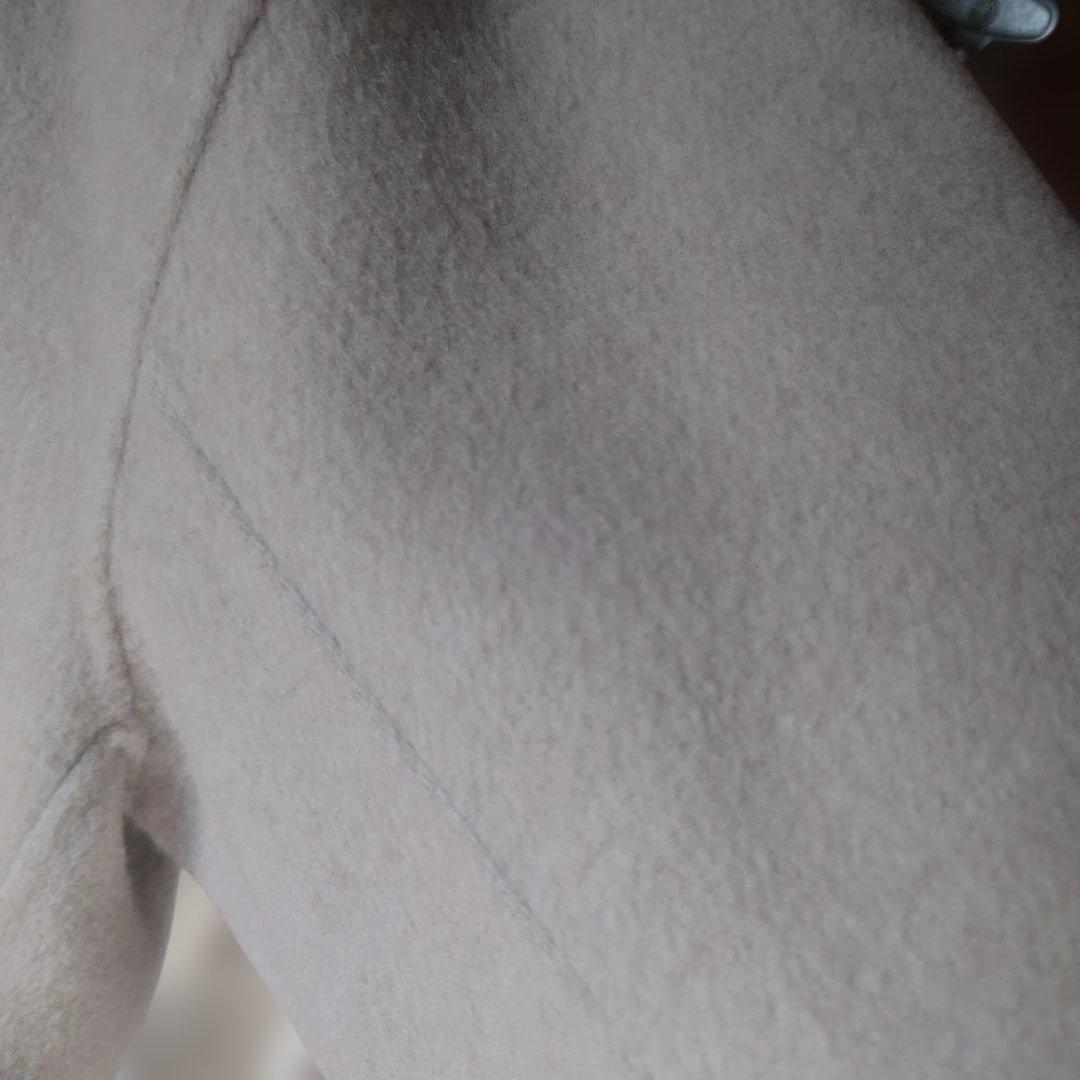 ガリャルダガランテ　コート