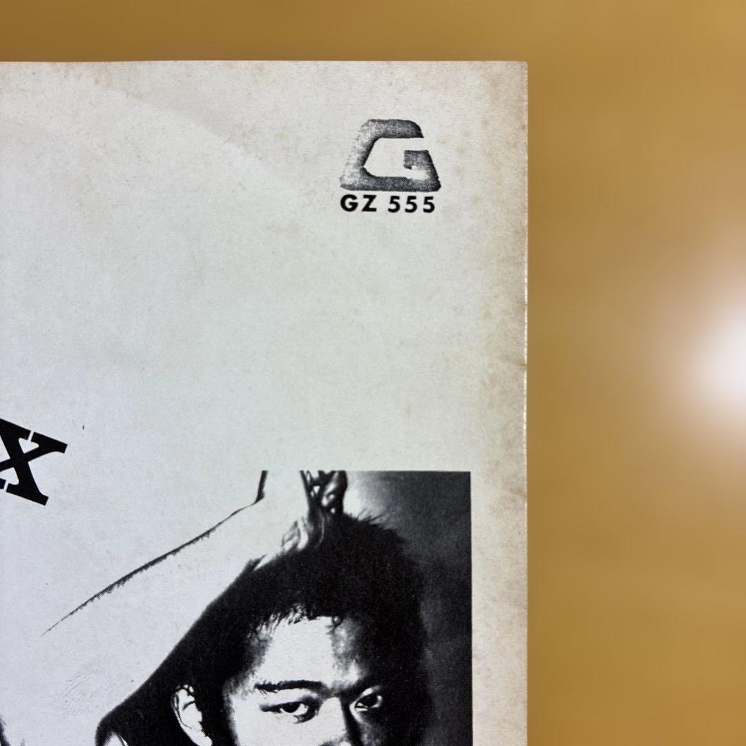 ミラーズ　SHOGEKI-X / MIRRORS GZ 555 レコード