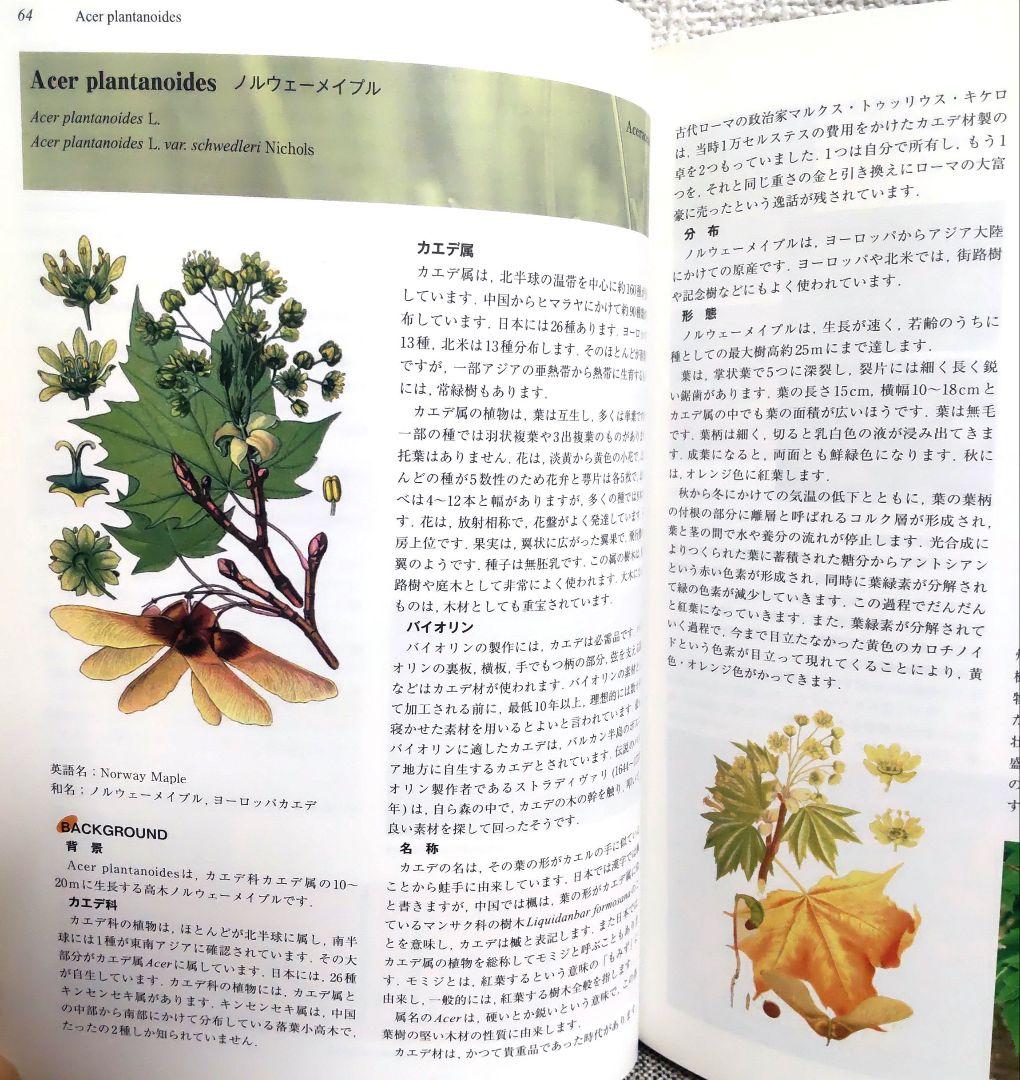 ホメオパシー マテリアメディカ大全 1 : Abel - Agar／森井啓二 著