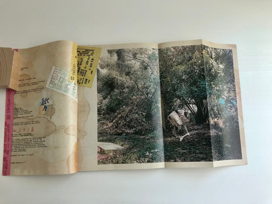 紙々 / 立花文穂　　 KAMIGAMI / fumio tachibana