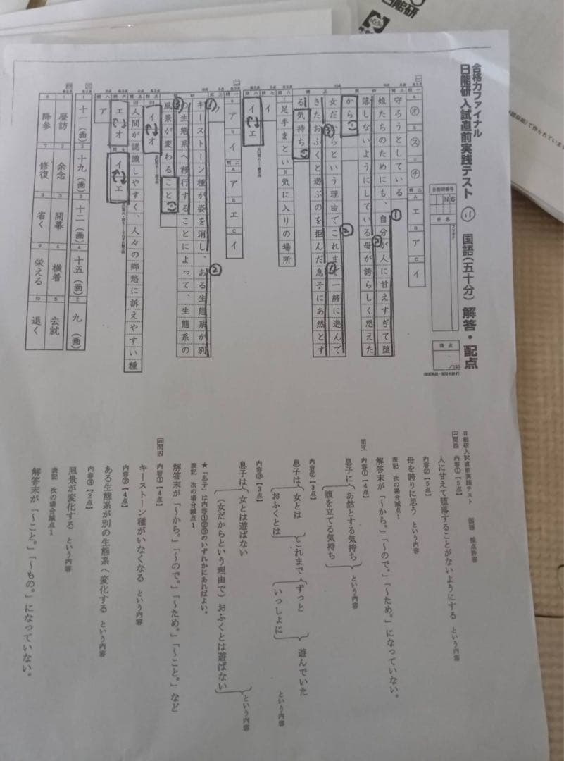 最新　日能研6年後期　公開模試　テスト