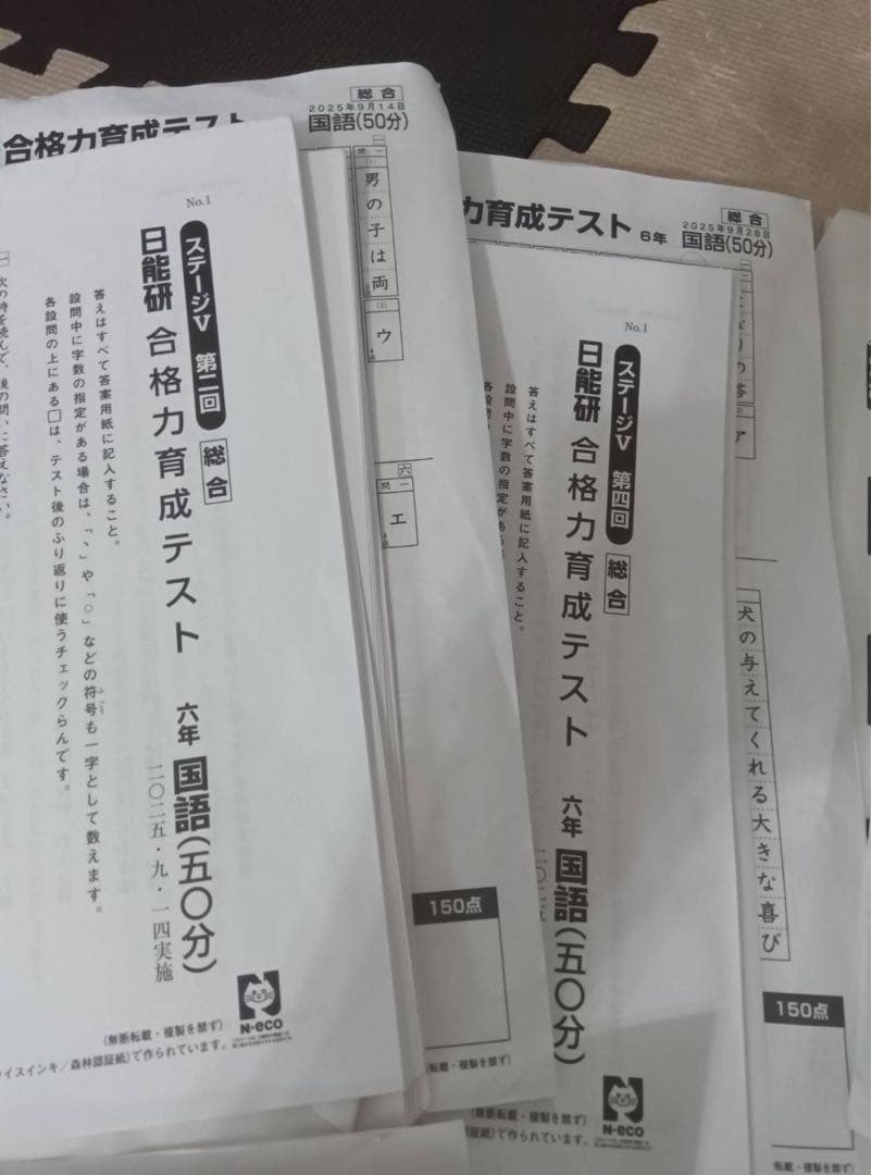 最新　日能研6年後期　公開模試　テスト