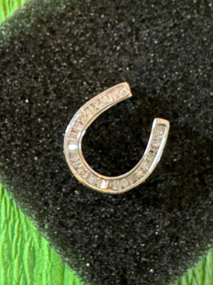 ダイヤモンド　馬蹄形チャーム　K18 0.2カラット　未使用新品