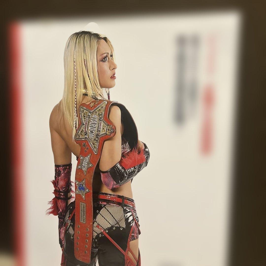 ジュリア（WWE ）お騒がせ症候群【本】