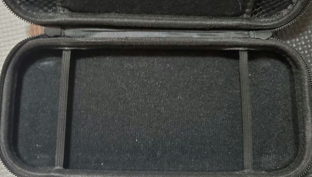 スイッチライト本体コーラルピンク+ケース+フリップカバー付き