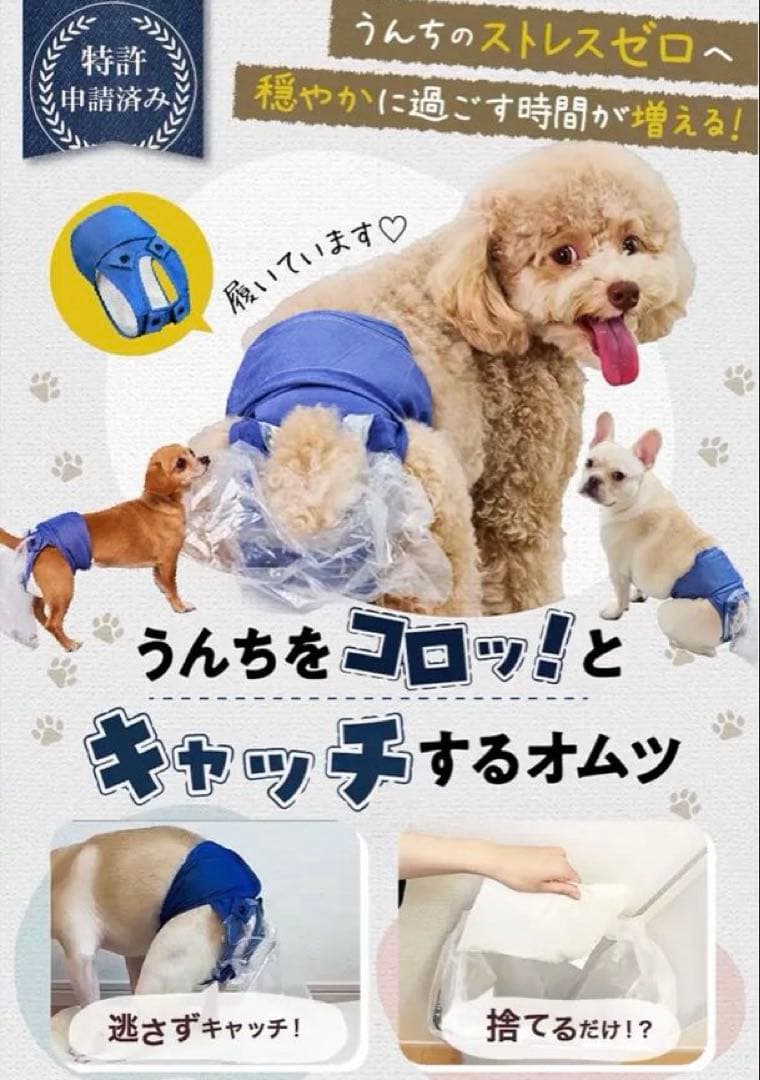 【新品未開封／２枚】うんコロキャッチ　Lサイズ