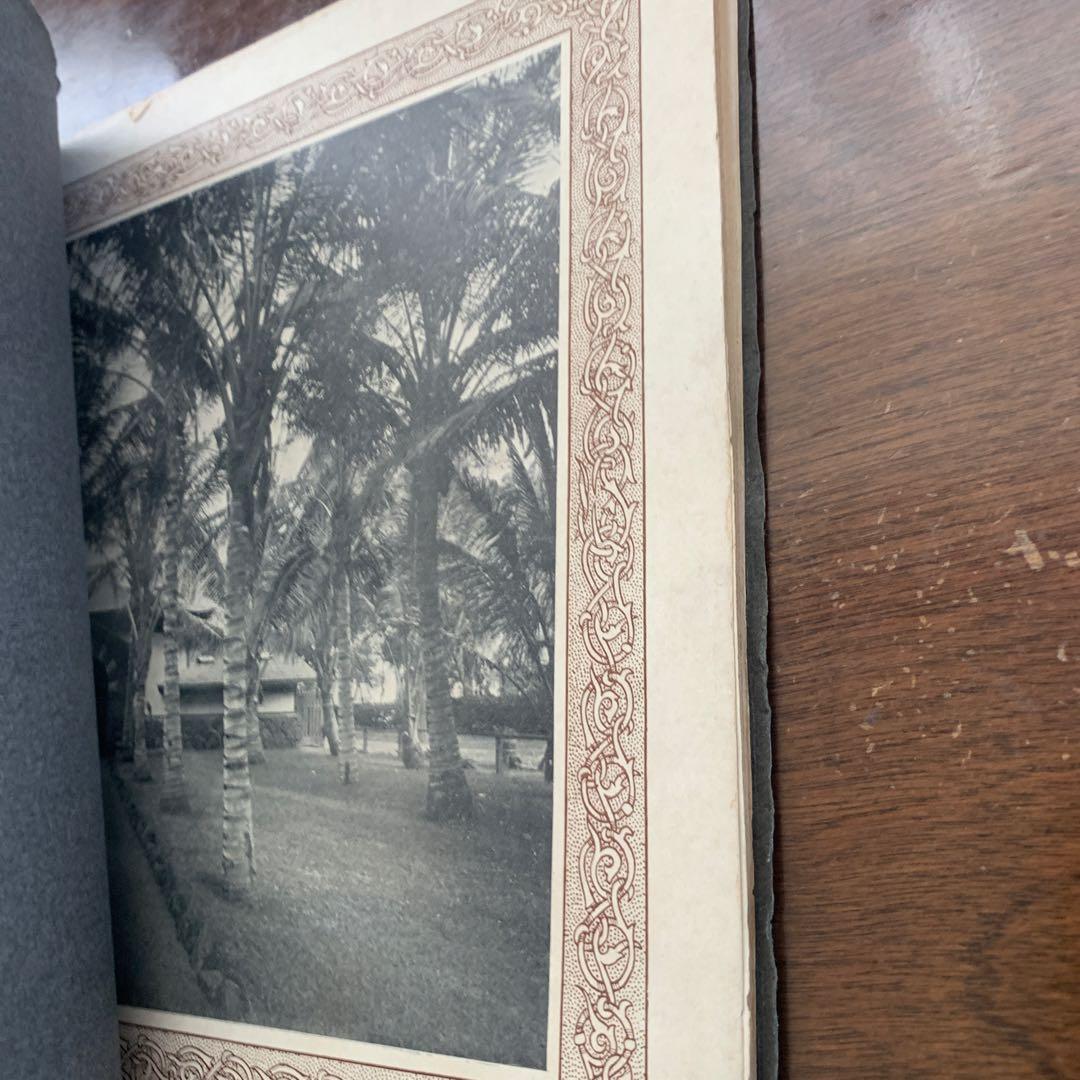 【希少】HAWAIIAN FISHESハワイの魚の画集　洋書