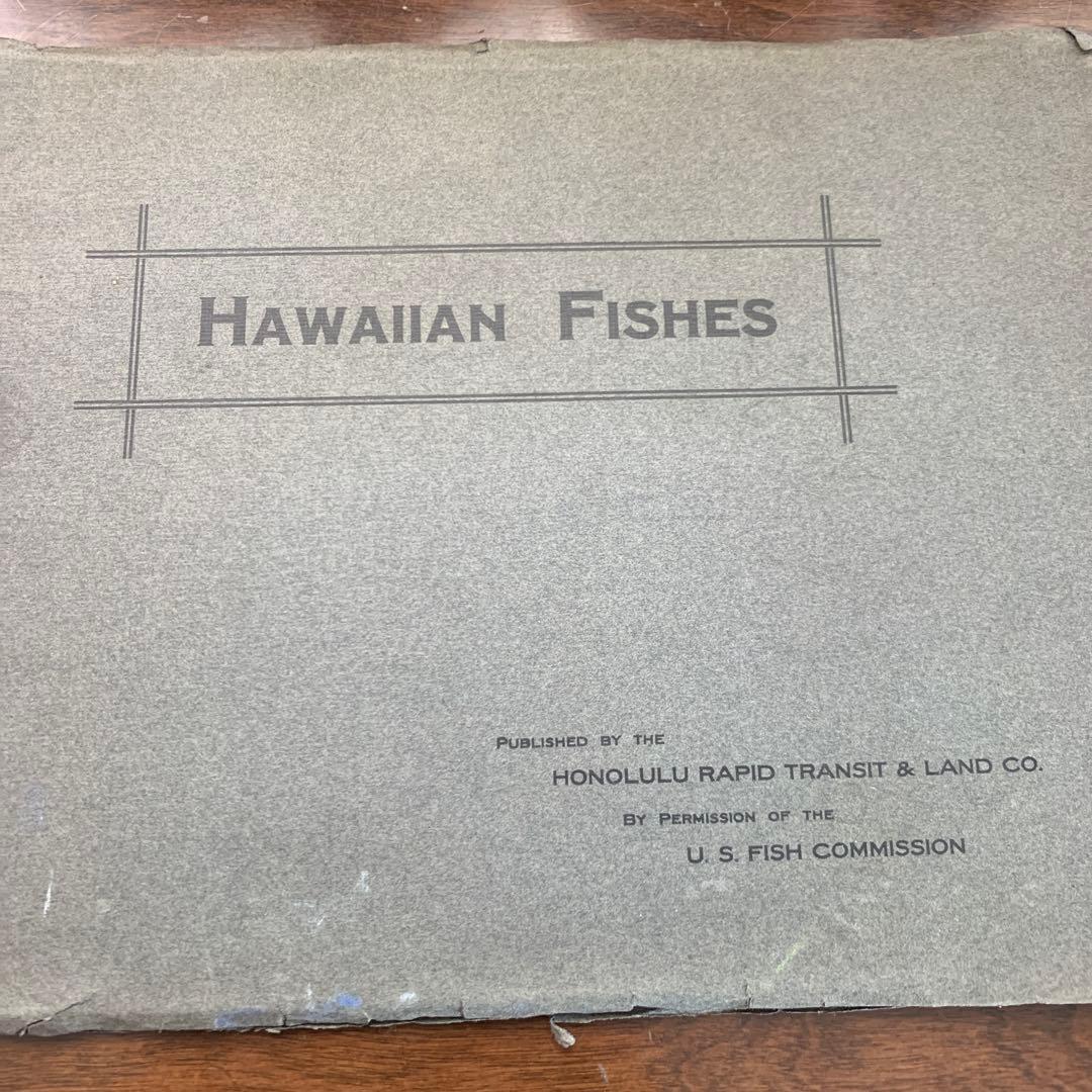 【希少】HAWAIIAN FISHESハワイの魚の画集　洋書