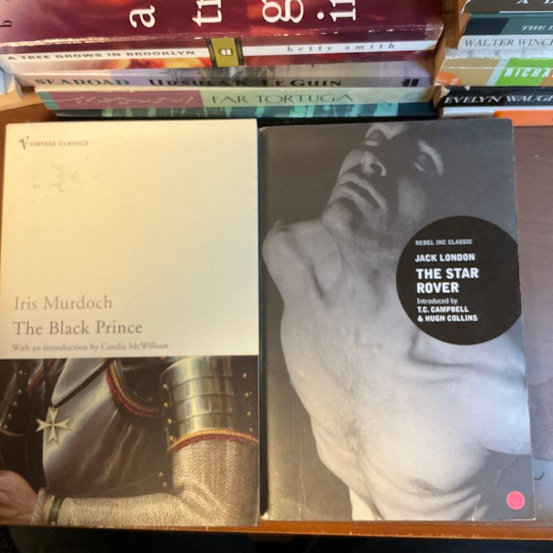 洋書コレクション 24冊セット Great Author Collection