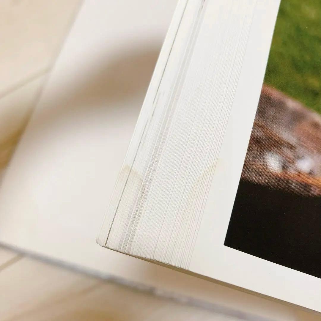 The Haapsalu Shawl ハープサルレース レース編み 本