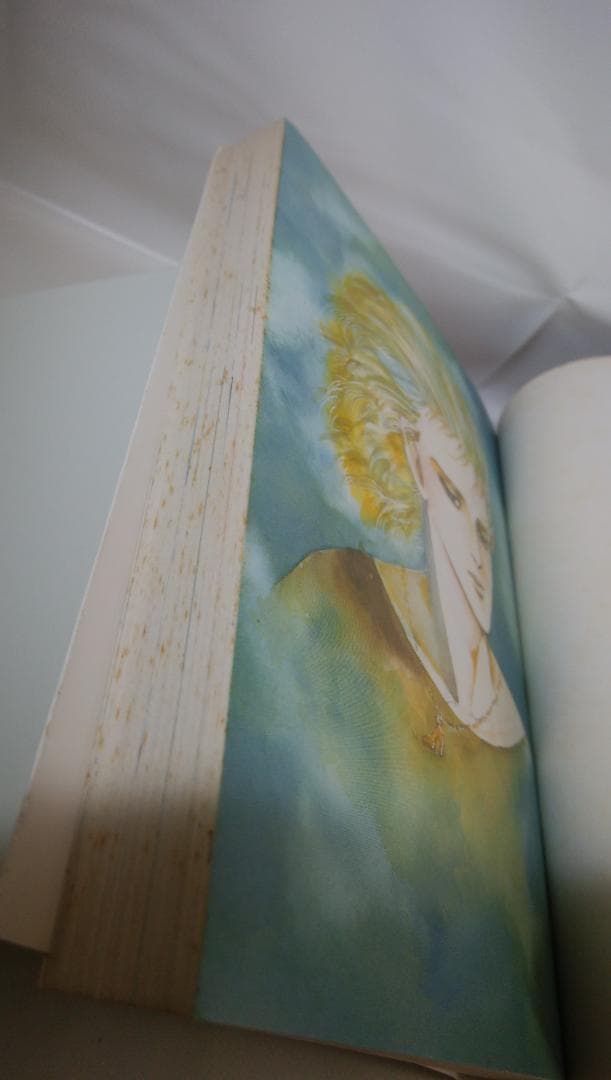 【中古　全17巻セット】萩尾望都作品集〔第２期〕 全17巻セット プチコミックス