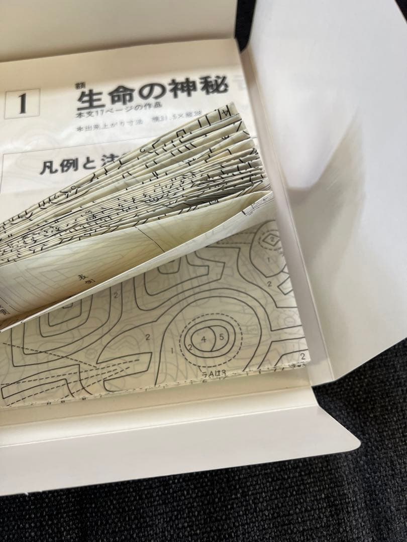 絶版・美品 パナマの民族手芸 モラ MOLA 図案集付 中山富美子 本　趣味