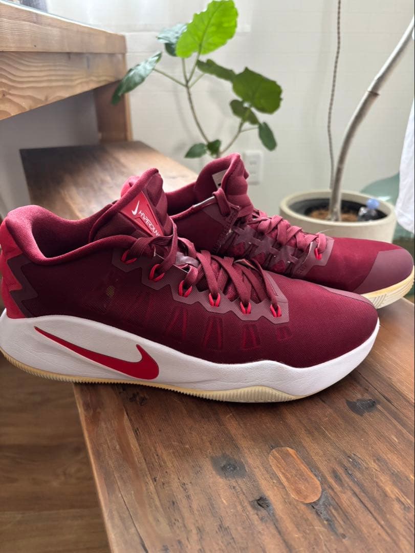 NIKE ハイパーダンク2016 ローカットタイプ